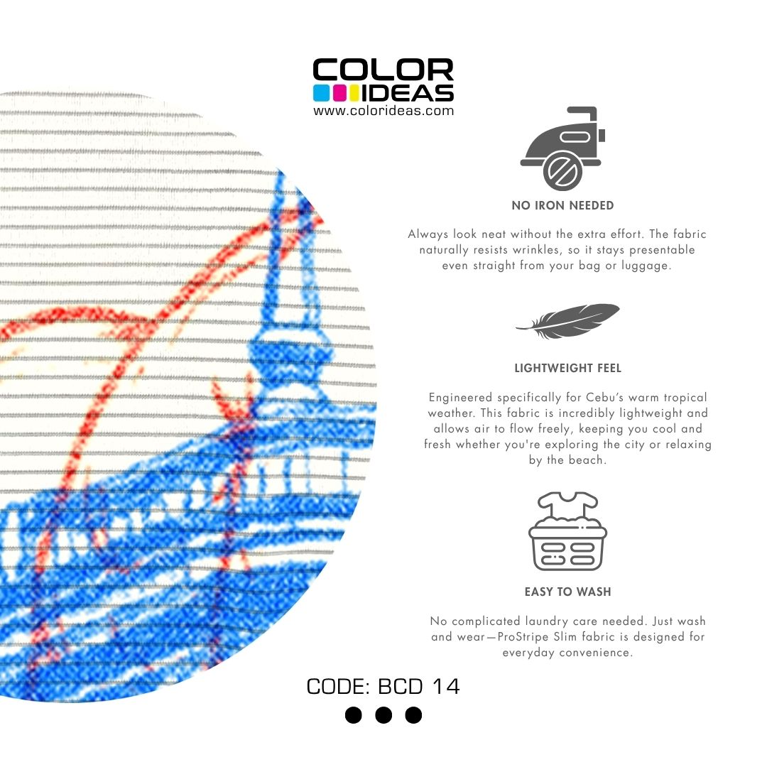 Bacolod 14 - COLOR IDEAS Souvenir Shirt