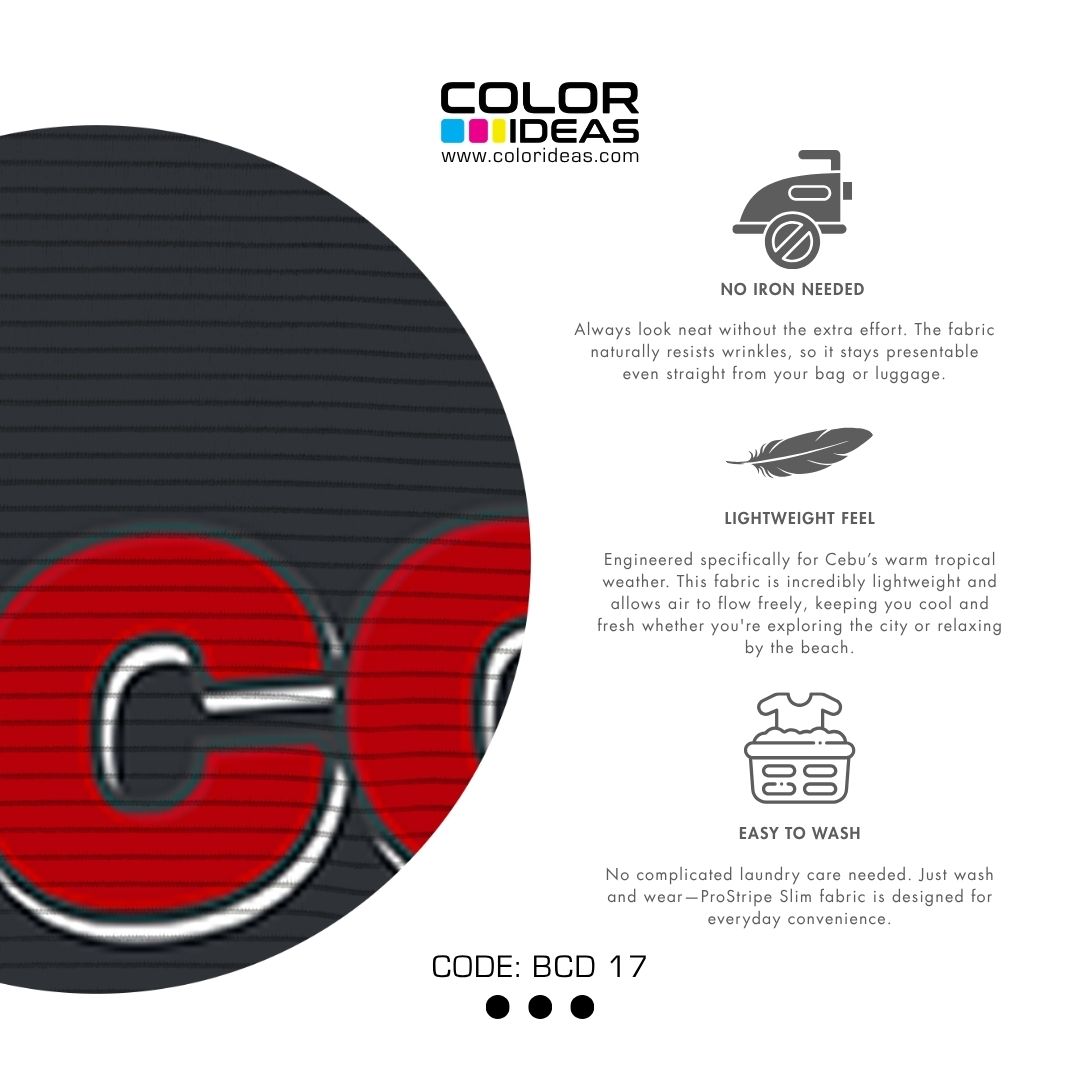 Bacolod 17 - COLOR IDEAS Souvenir Shirt