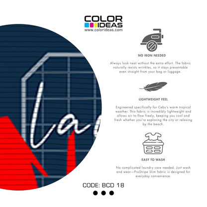 Bacolod 18 - COLOR IDEAS Souvenir Shirt