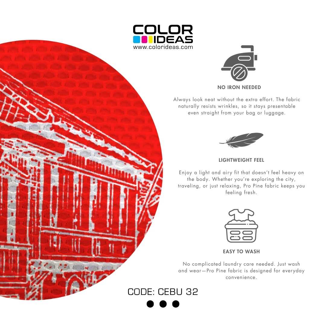 Cebu 32 - COLOR IDEAS Souvenir Shirt